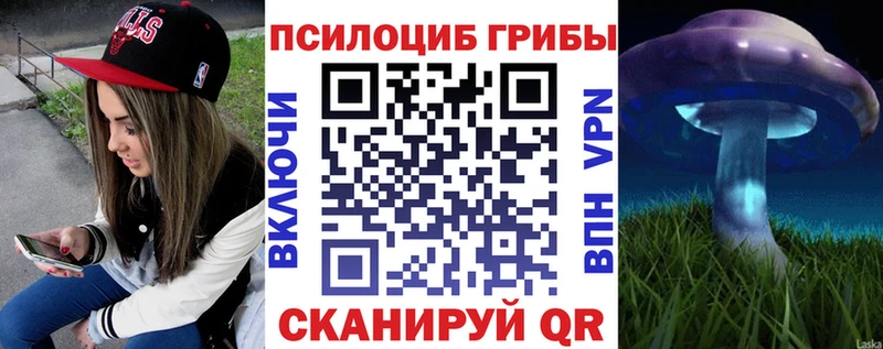 это как зайти  хочу   кракен рабочий сайт  Исилькуль  Галлюциногенные грибы мицелий 